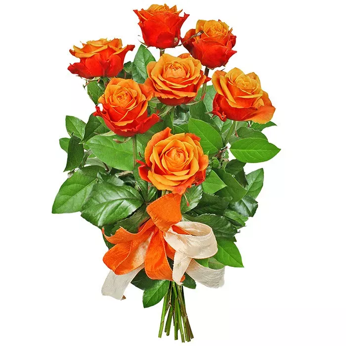 Happy bithday bouquet, a bouquet of 7 orange roses with a ribbon, tea roses in a bouquet