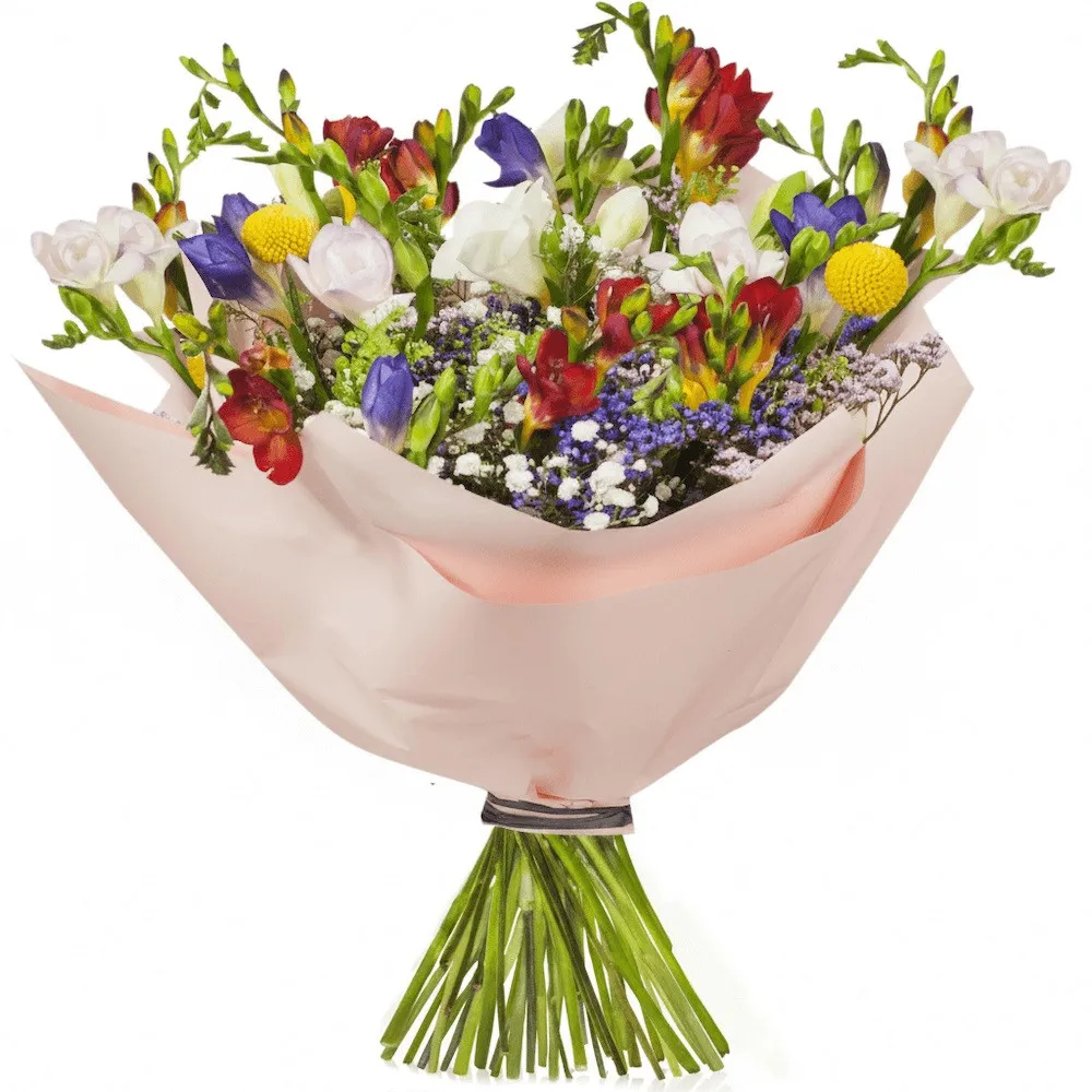 Bouquet of Freesia, colorful freesia in a bouquet