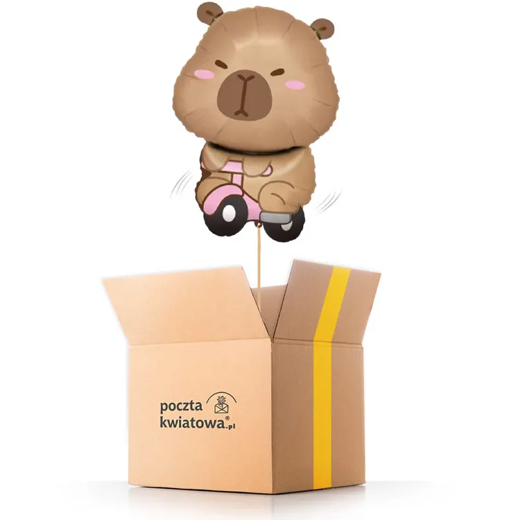 Capybara on a bicycle - helium balloon | Poczta Kwiatowa®