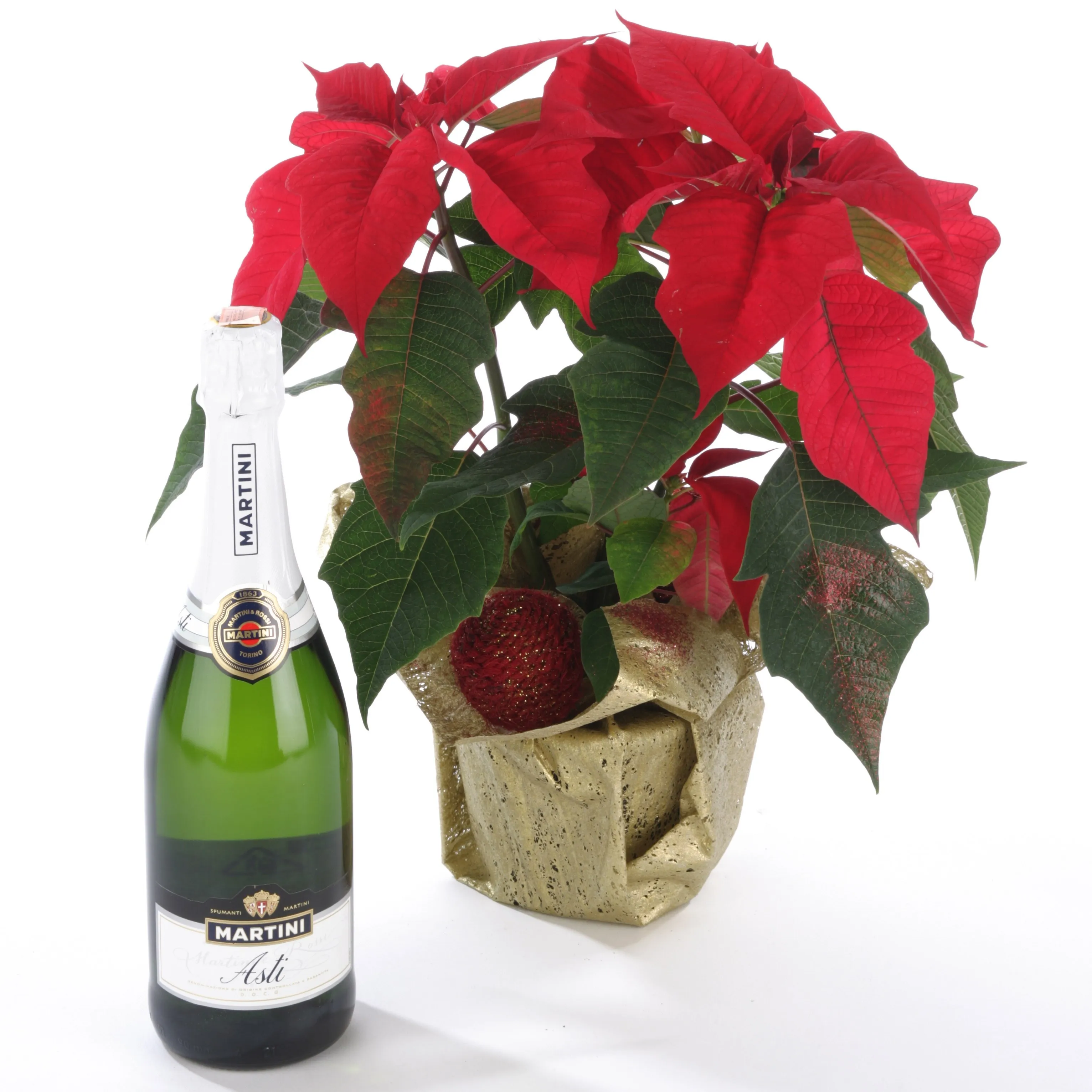 Poinsettia Plant and Sparkling Wine - Belarus