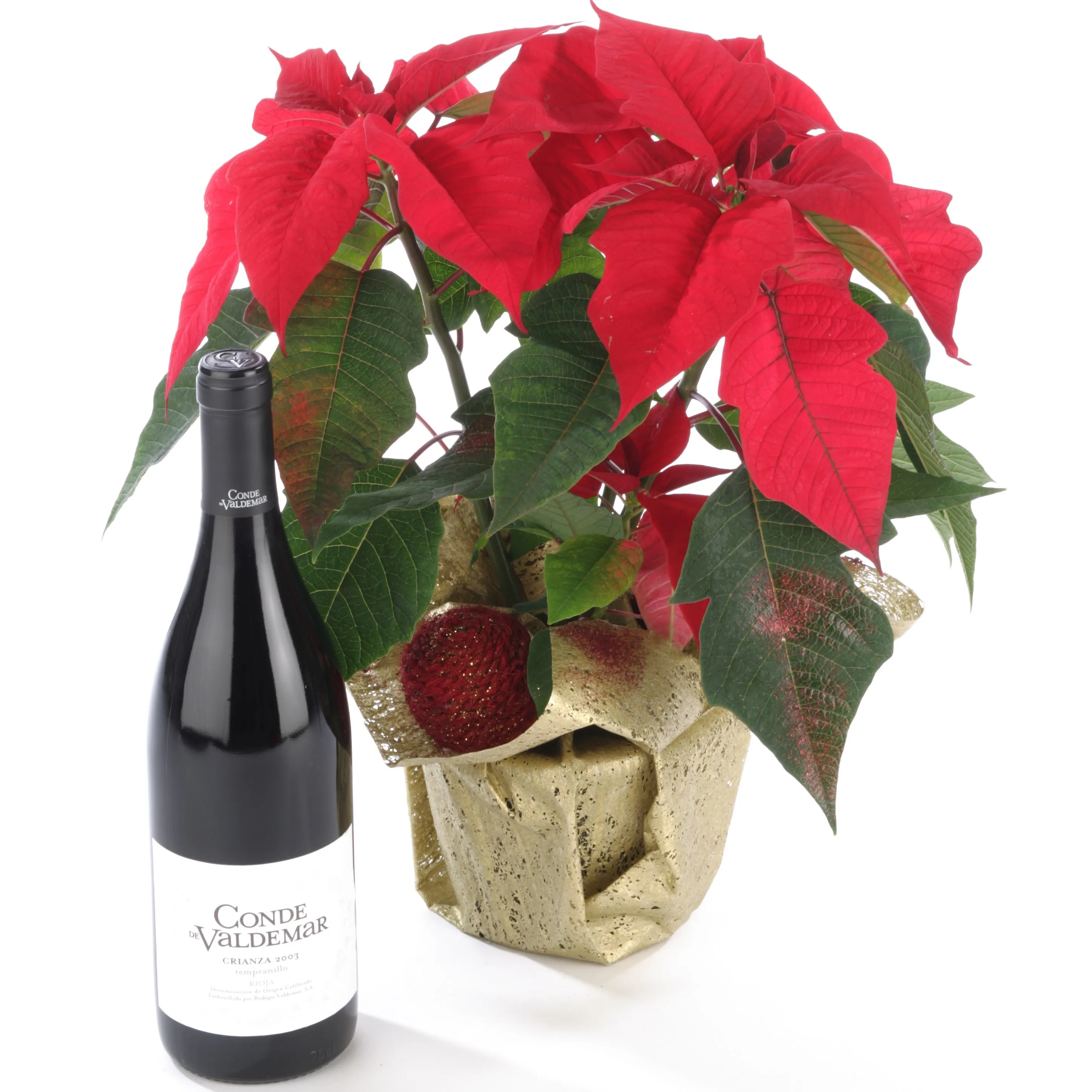 Poinsettia i czerwone wino