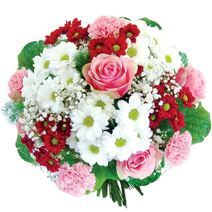 Dream Flowers, bouquet of oxeye daisies and carnations with delivery