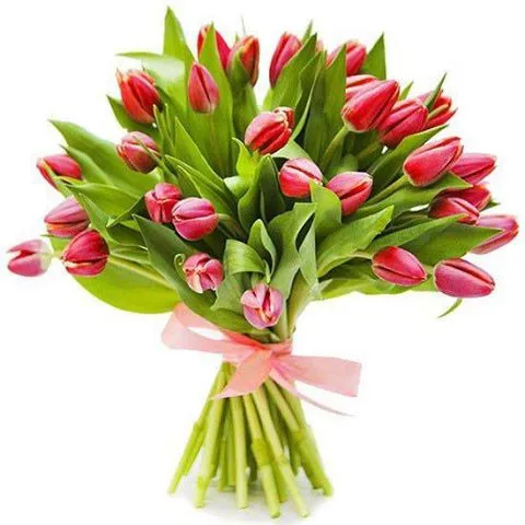 Czarujące tulipany, bukiet czerwonych tulipanów