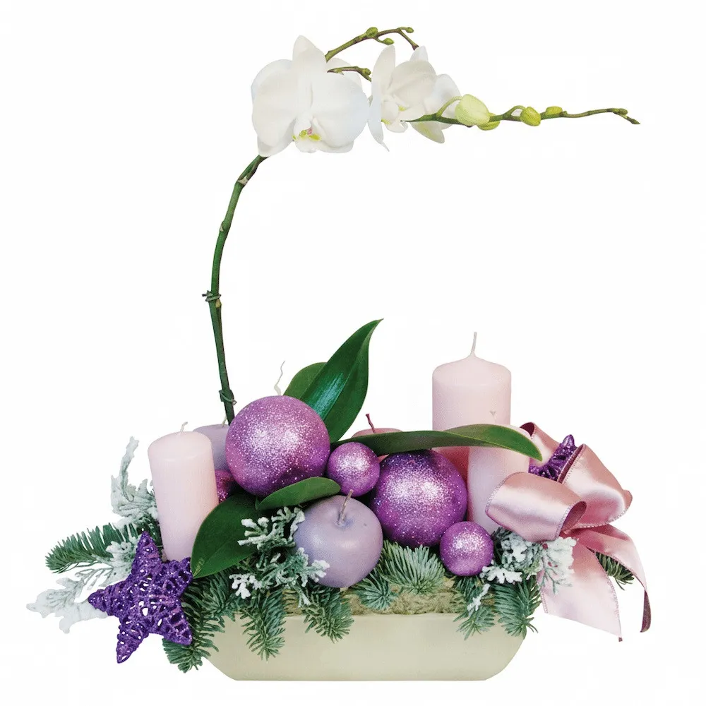Phalaenopsis pot plant and fir in a ceramic pot, candles baubles and ornamental apples, Christmas composition