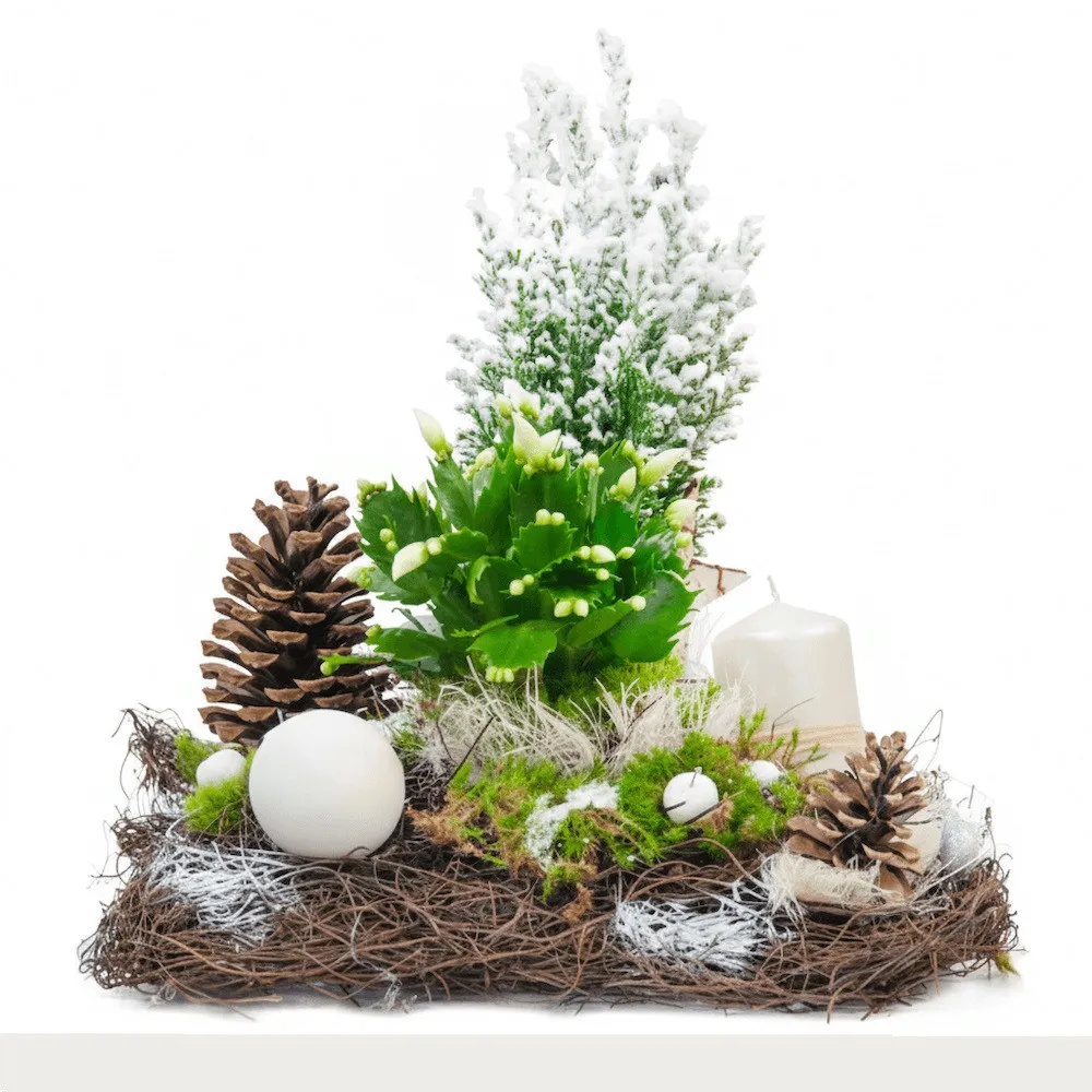 Centrepiece crib , Cypriot reed, christmas cactus, cone, candle, bark, fascine, decorative apple, bauble, drought, holiday reed.