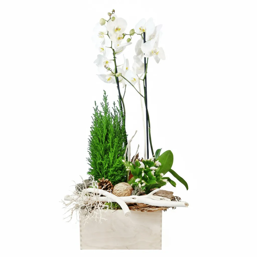Forest centrepiece,centrepiece made of phalaenopsis reed, cypress, christmas cactus , dried root, cone, bark, dry, holiday reed