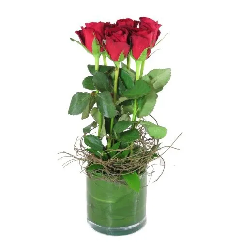 6 Red roses in a vase
