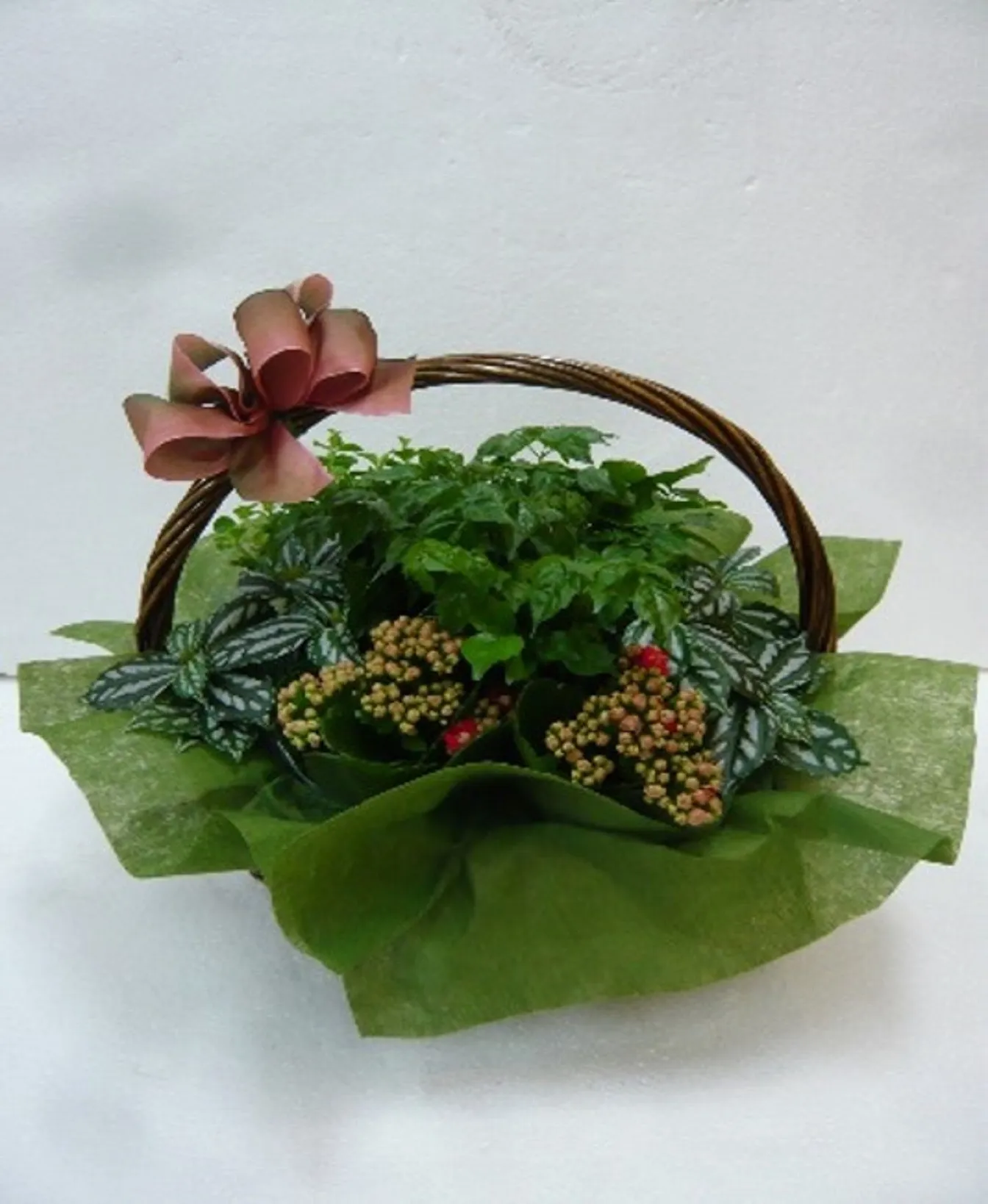 Mixed Miniatures