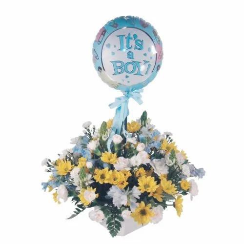 Bouncing Baby - Lesotho