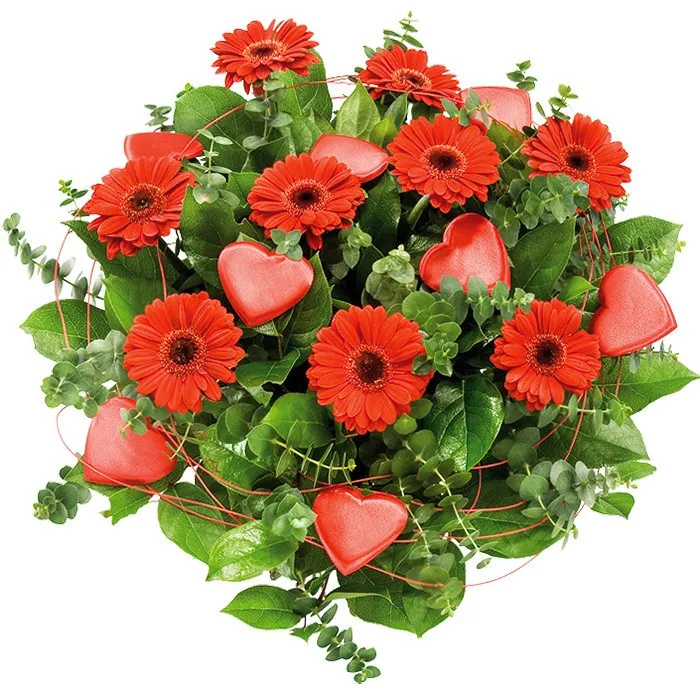 Heart bouquet, love bouquet, red gerberas with decorative green and red hearts