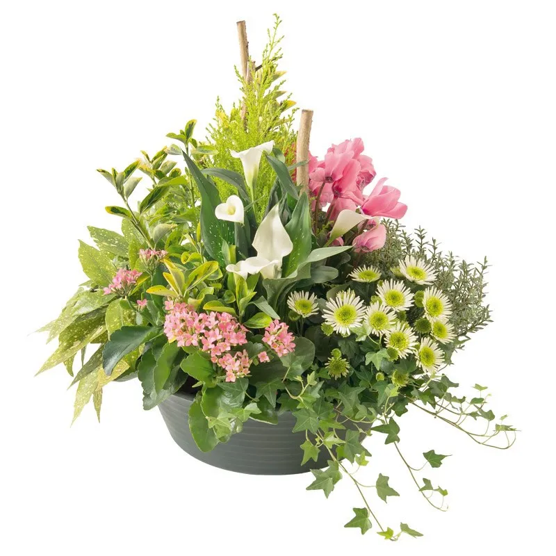 Nice arrangement of plants - Réunion