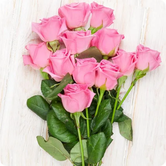 12 pink roses- Poczta Kwiatowa® pink roses with courier delivery