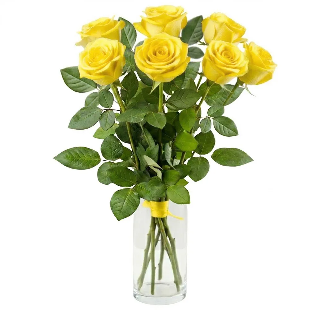 A bouquet of seven rich yellow roses in a simple, clear glass vase, tied with a yellow ribbon, presented against a plain white background.