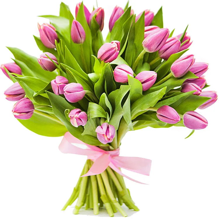 12 pink tulips - Poczta Kwiatowa® tulips roses with a flower courier