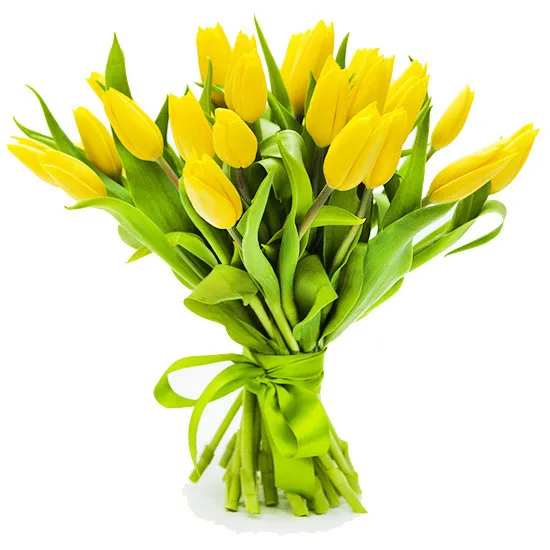 21 żółtych tulipanów - Poczta Kwiatowa® dostawa kwiatów do 100 zł