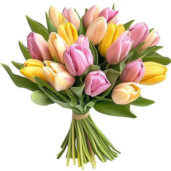Fresh Tulips | Poczta Kwiatowa®
