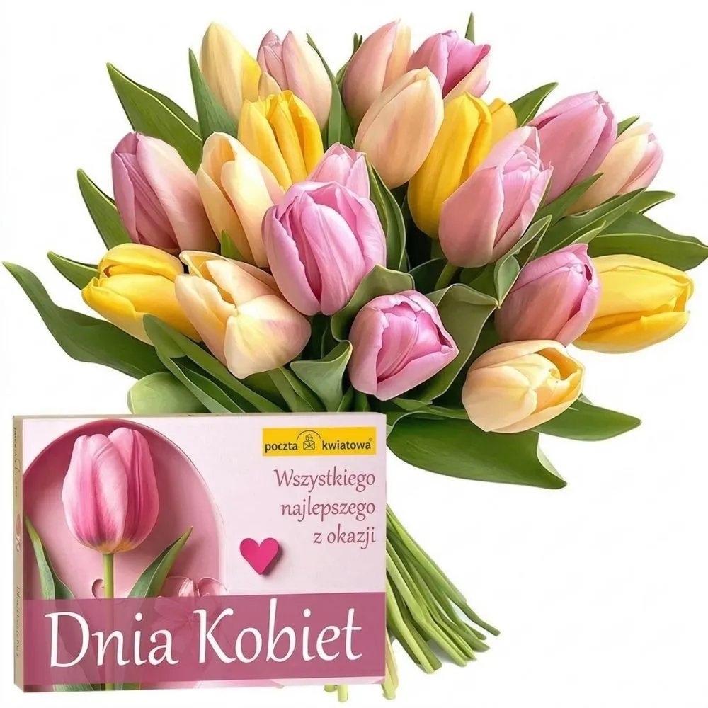 Fresh Tulips + box of chocolates Women's Day