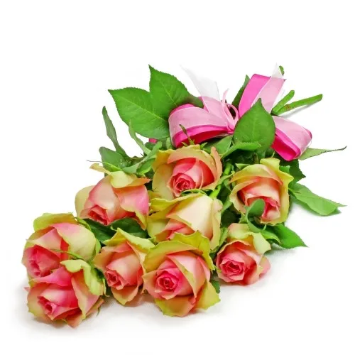 Flowers cheerful day, 9 pink roses, flowers arranged gradually, tied with a pink ribbon