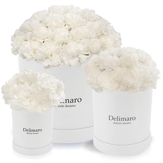 Delimaro™ flowerbox - Poczta Kwiatowa® carnations in a white box