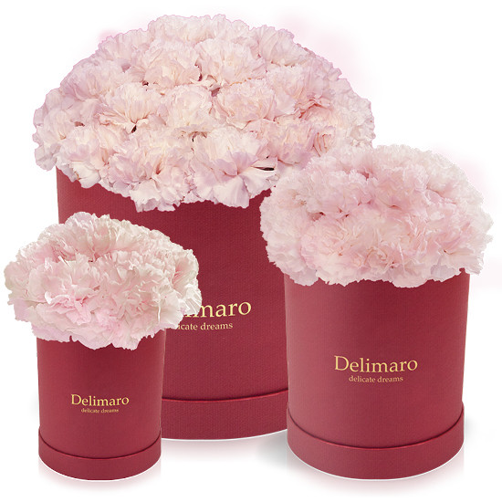 Delimaro™, pudełko prezentowe, flower box
