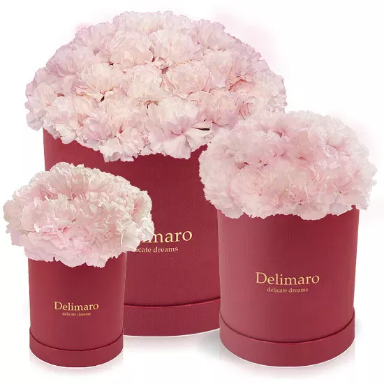 Flowerbox, pink carnations in a red box - Poczta Kwiatowa® flowers delivery