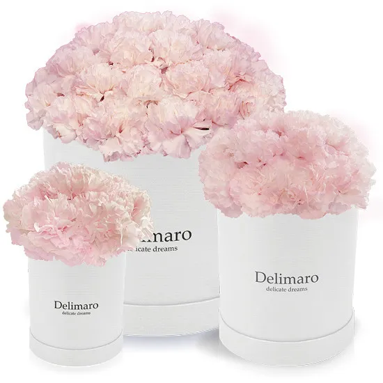 Flowerbox, white carnations in a red box - Poczta Kwiatowa® Flowers delivery