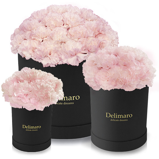 Różowe goździki w pudełku czarnym, produkt Delimaro™ typu flowerbox