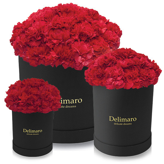 Red carnations in a black box, red carnations, flowers in a box