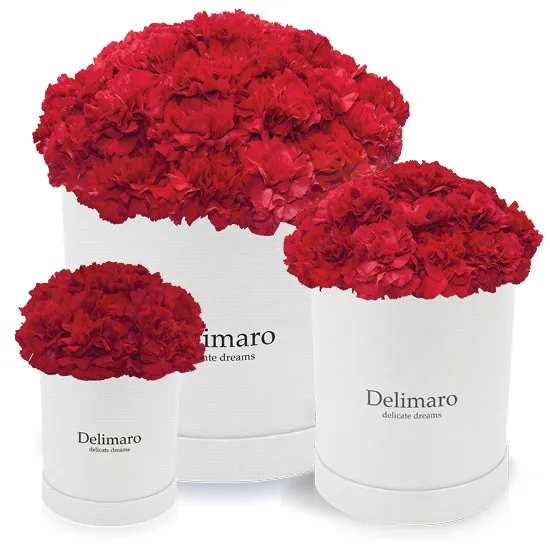 Delimaro™ red carnations - Poczta Kwiatowa® flowers in a white box