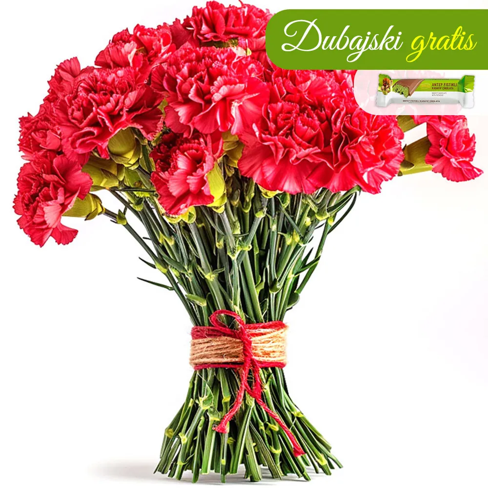 12 red carnations - Poczta Kwiatowa® flowers perfect for Women's Day up to 100PLN