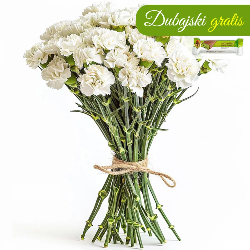 12 white carnations - Poczta Kwiatowa® flowers perfect for Women's Day up to 100PLN