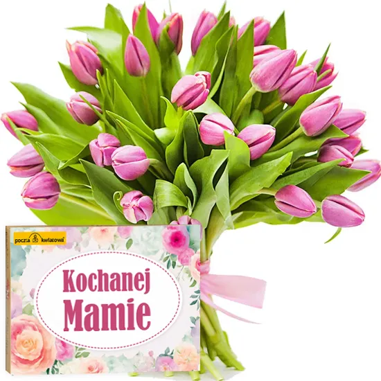 Tulipany dla Mamy | Poczta Kwiatowa