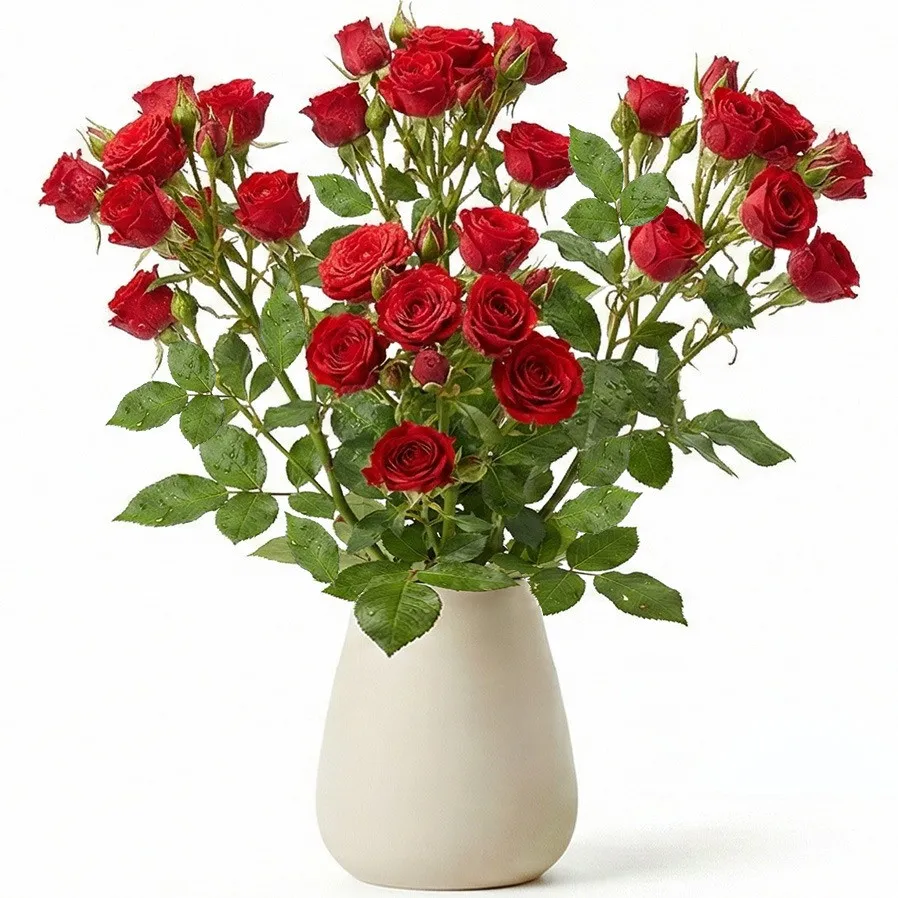 A fresh bouquet of small, intensely red roses with green leaves and buds, arranged in a minimalist, matte cream vase. Tiny water droplets are visible on the petals.