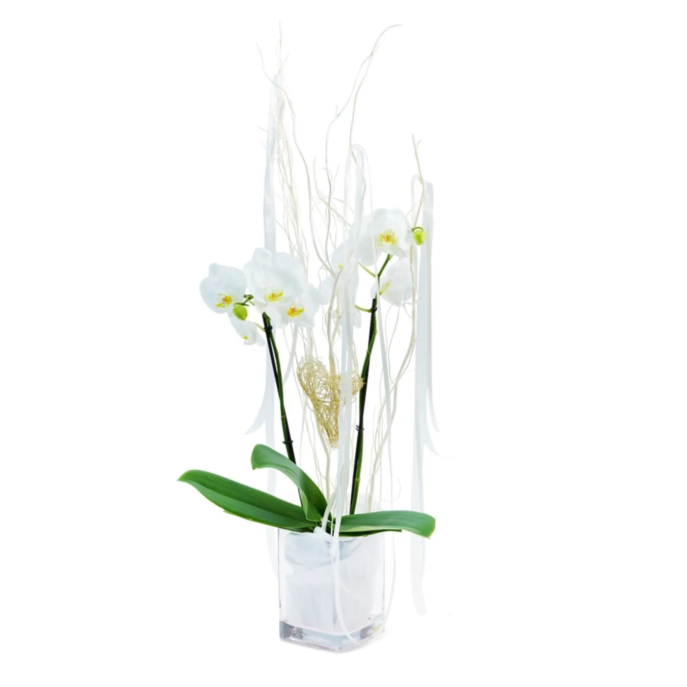 Biała orchidea