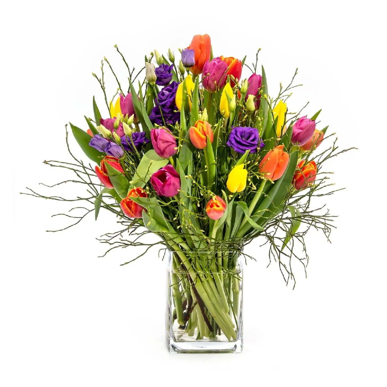 Colourful Spring