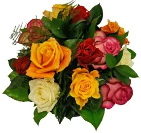 Round bouquet of 12 mixed coloured Roses (at least 4 different colours) with some green filler