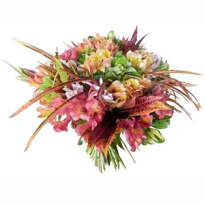 Alstroemerias
