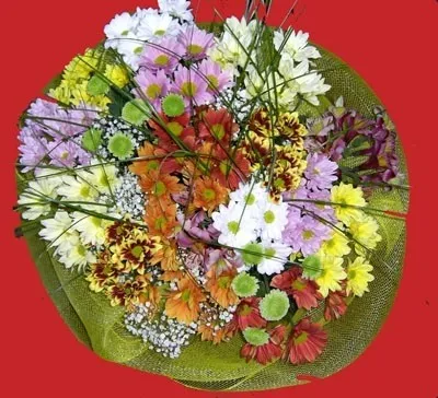 Bouquet of Mixed Cut Flowers