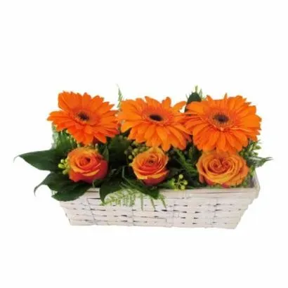 Gerbera Basket