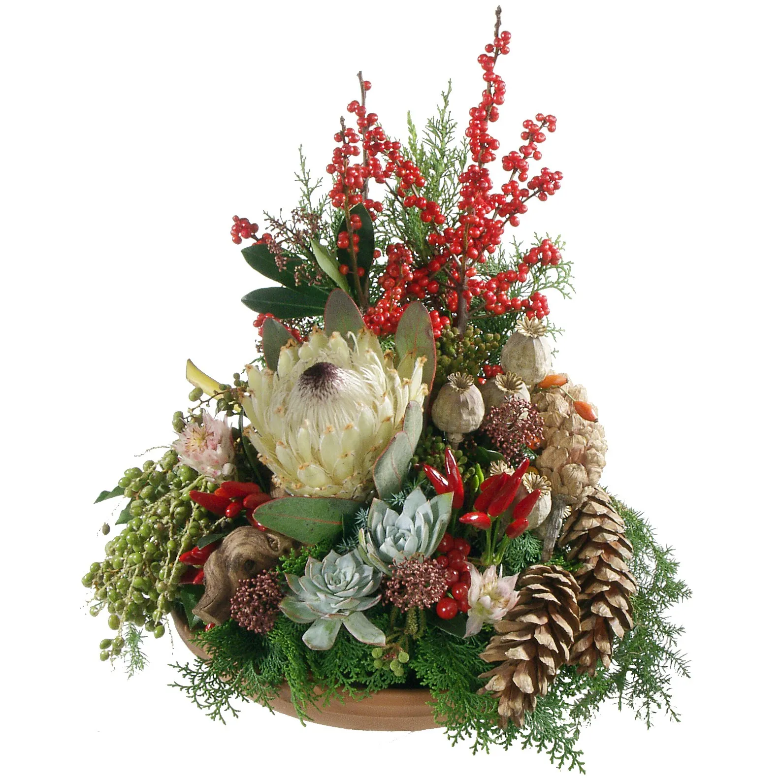 Sympathie Arr. for Outdoor