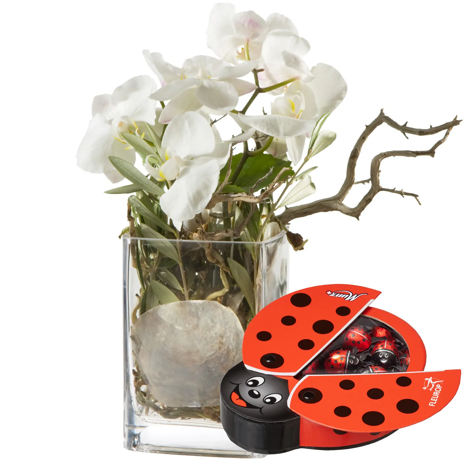 Best of Luck ... with chocolate ladybird