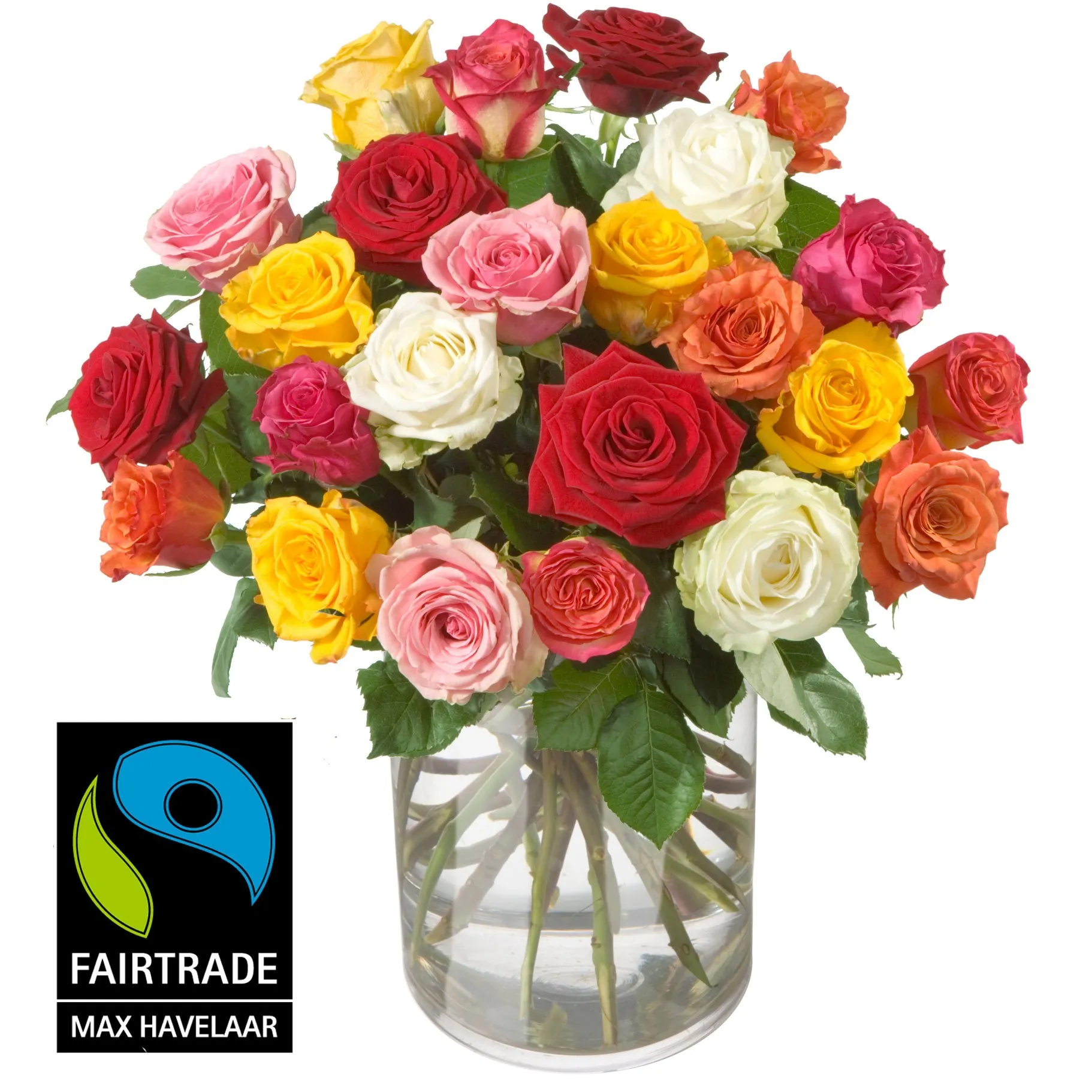 Bukiet 24 róż z Fairtrade Max Havelaar - Małe kwiaty