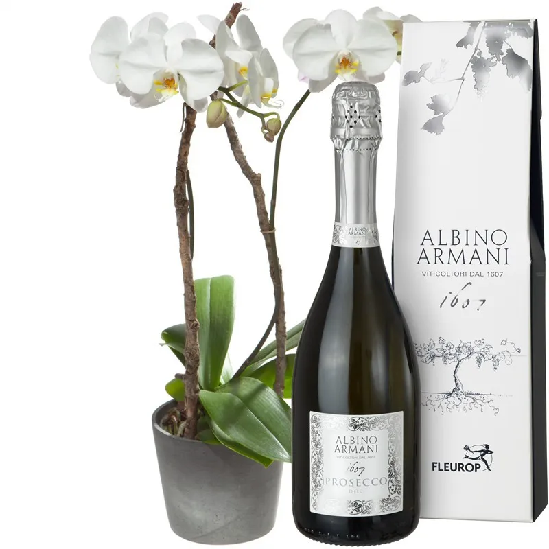 Precious and unforgettable with Prosecco Albino Armani DOC 75cl