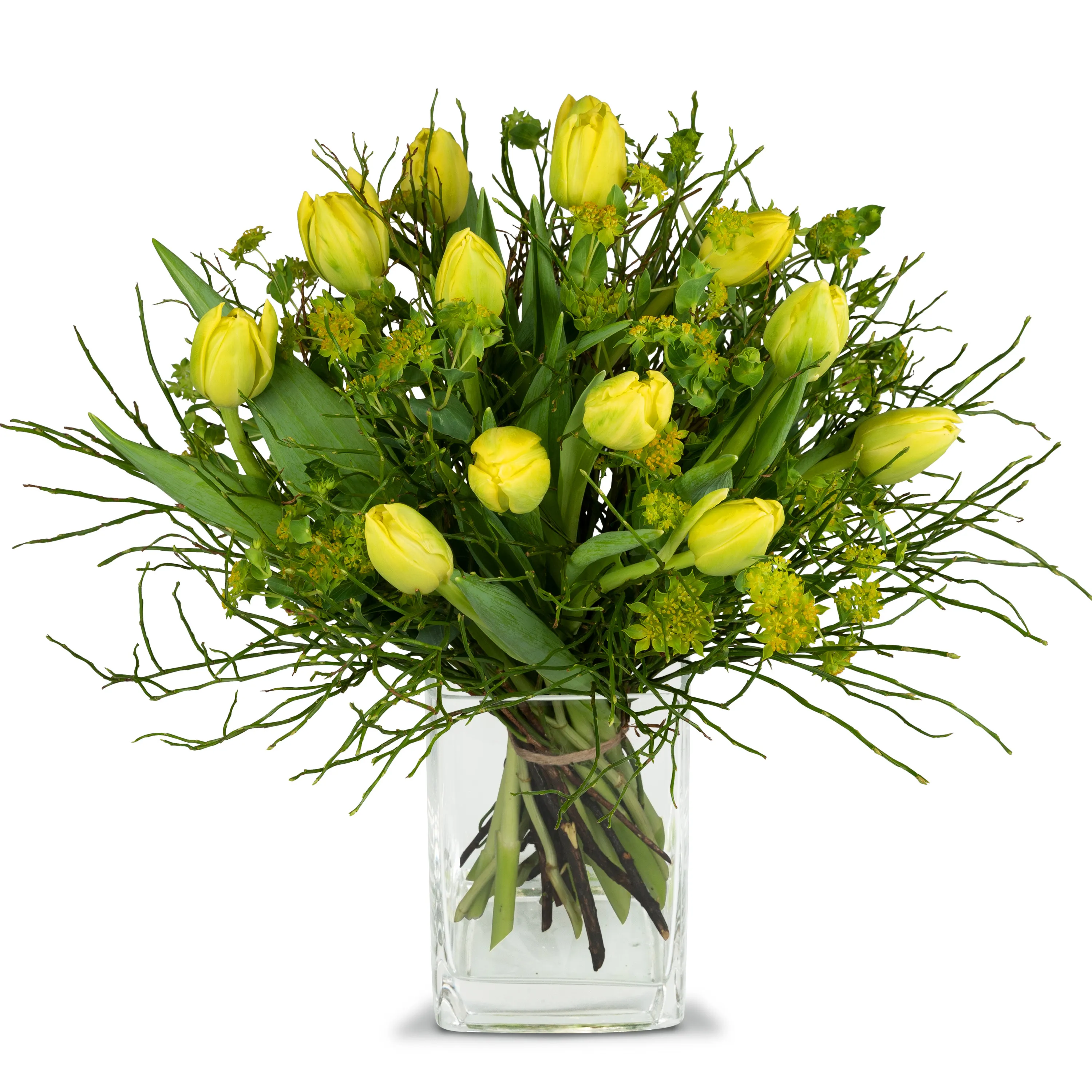 Sunny spring composition
