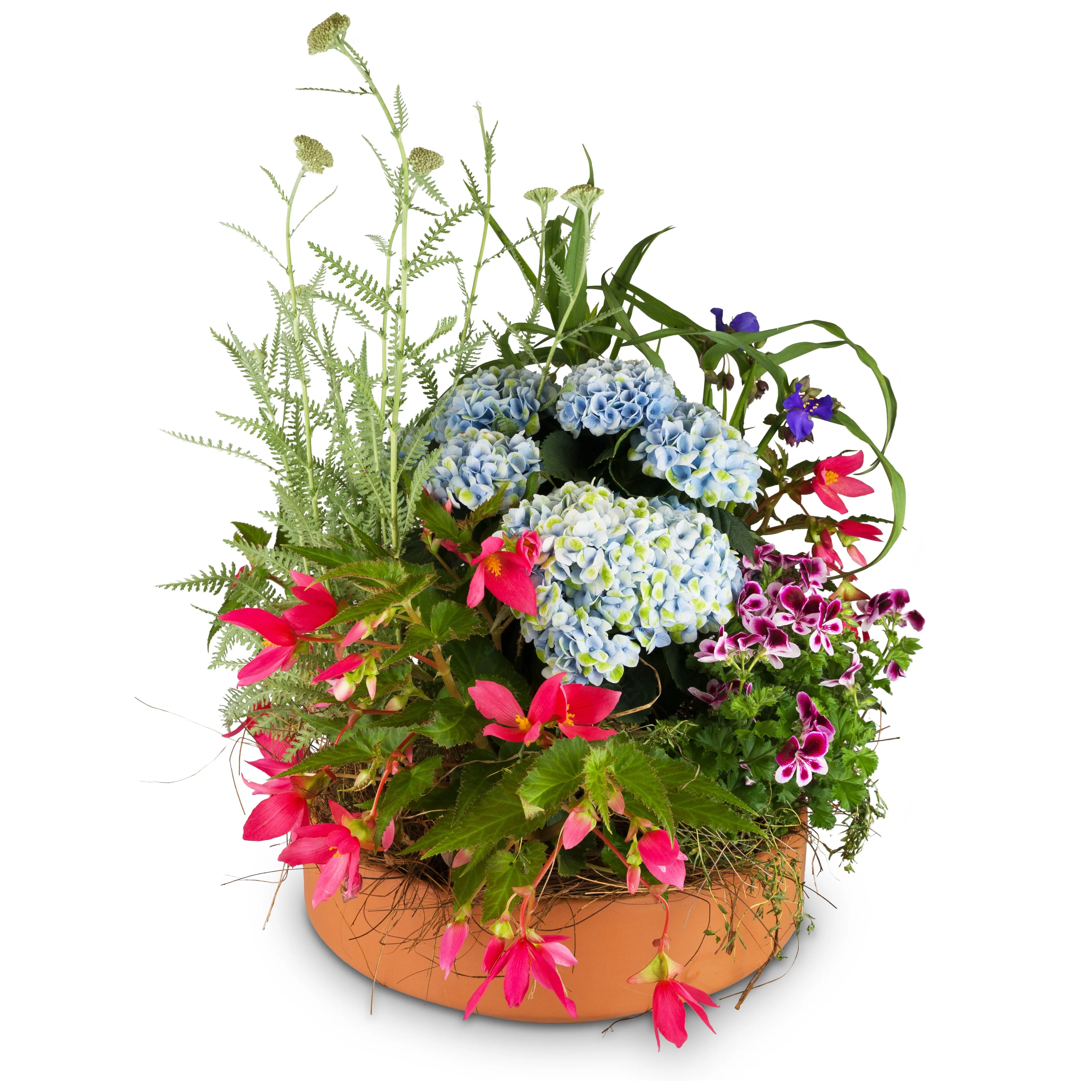 Garden Magic
