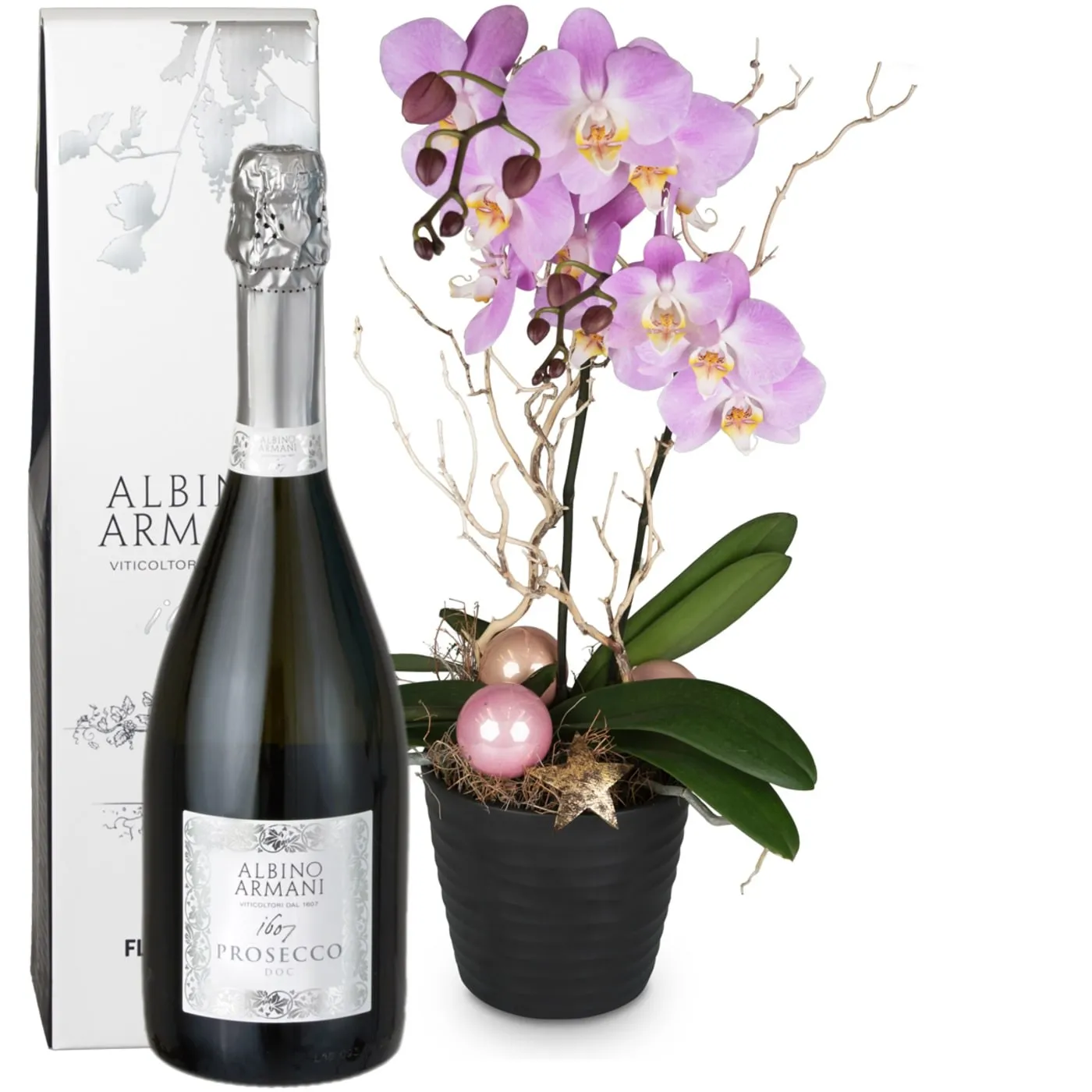 Magical orchid (Phalaenopsis) with Prosecco Albino Armani DOC (75cl)