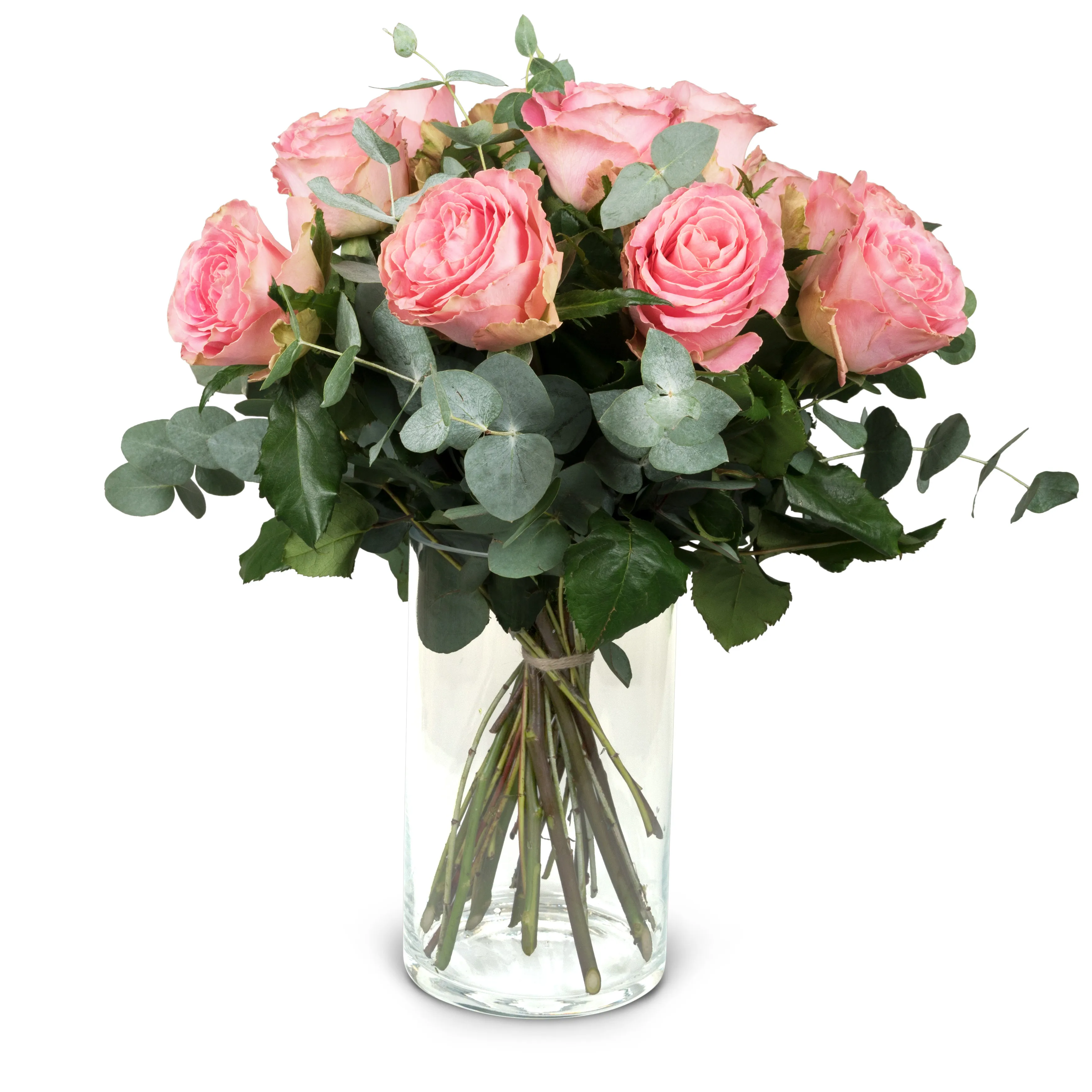 12 Pink Roses with greenery