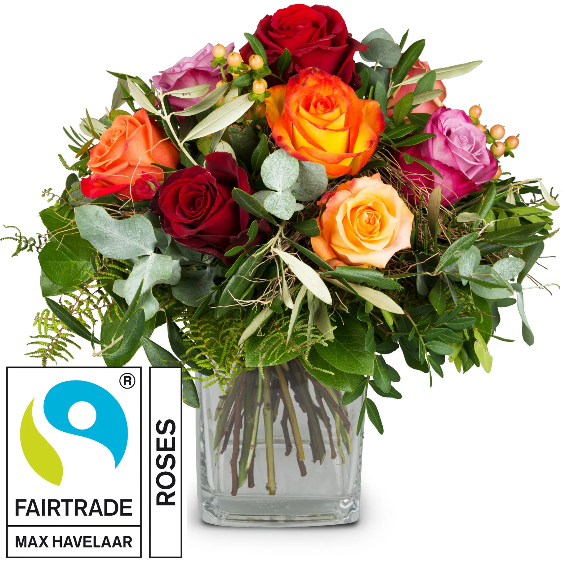 Bellissima with Fairtrade Max Havelaar-Roses