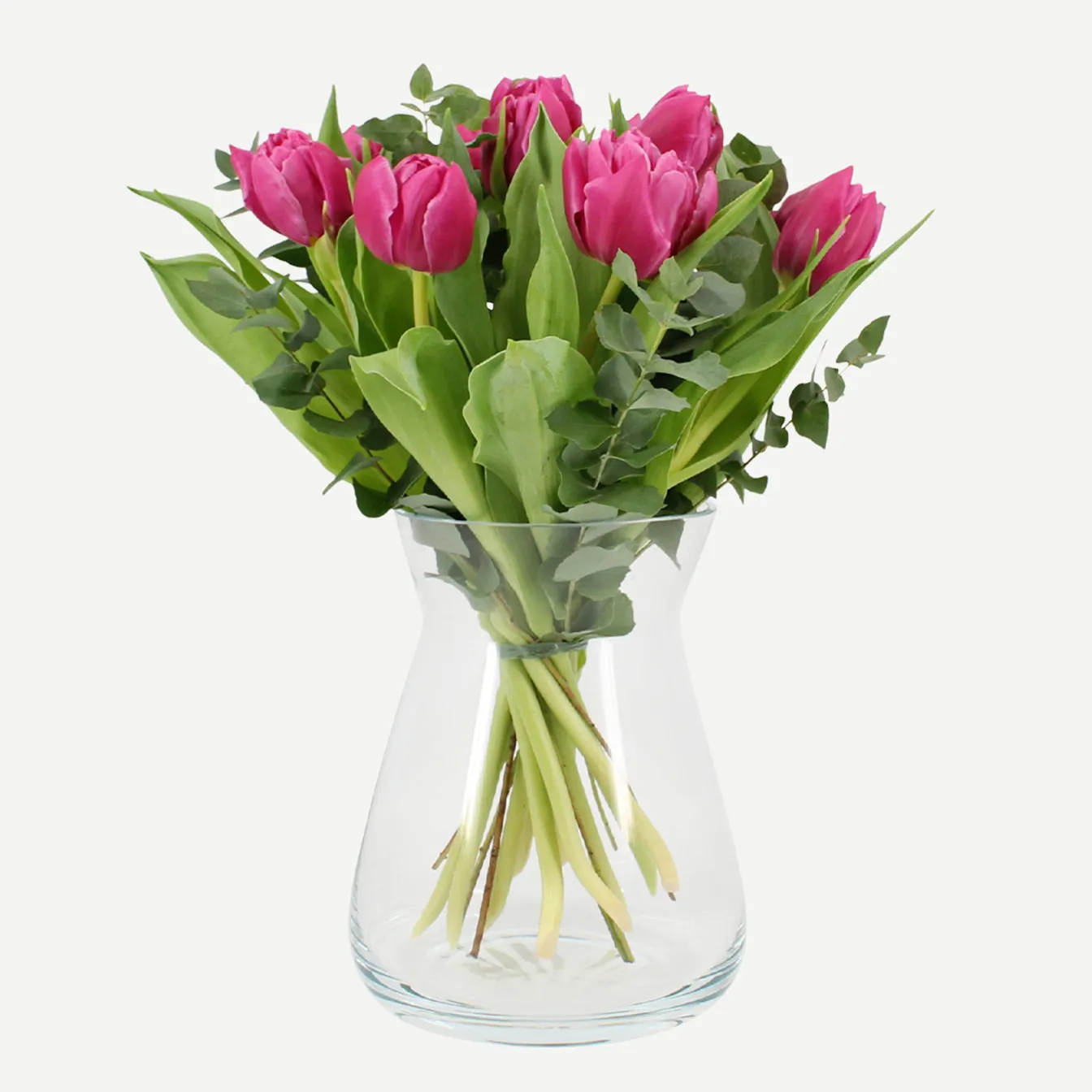 Dark pink tulips