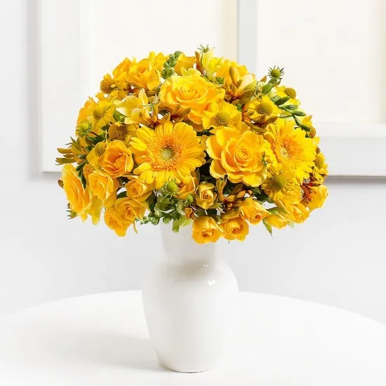 Yellow Harmony